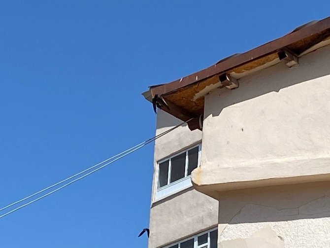 Kanadı Çatıya Sıkışan Karga Kurtarıldı