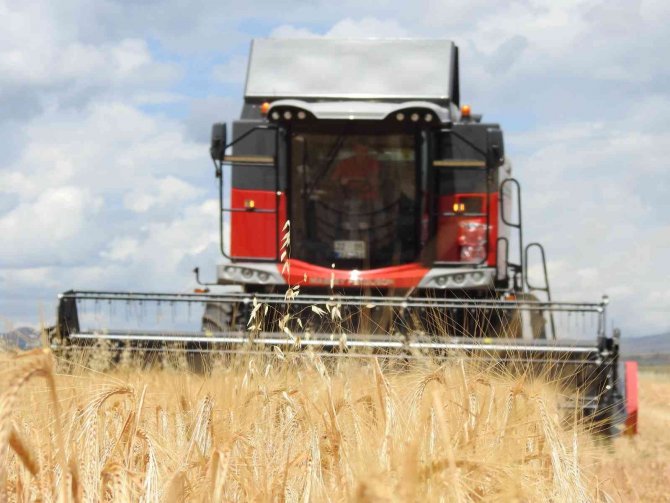 Arpanın Merkezi Edirne’de Verim Üreticinin Yüzünü Güldürüyor