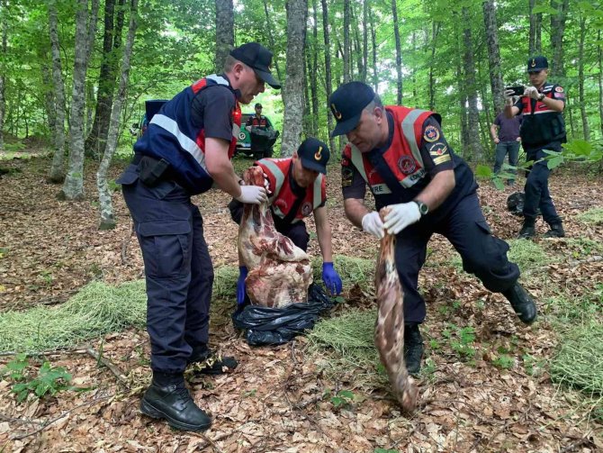 Yaban Hayvanları İçin Doğaya 100 Kilo Et Bırakıldı