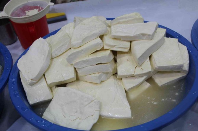 Uzman Doktor Hayvansal Ürünlerden Bulaşan Hastalığa Dikkat Çekti