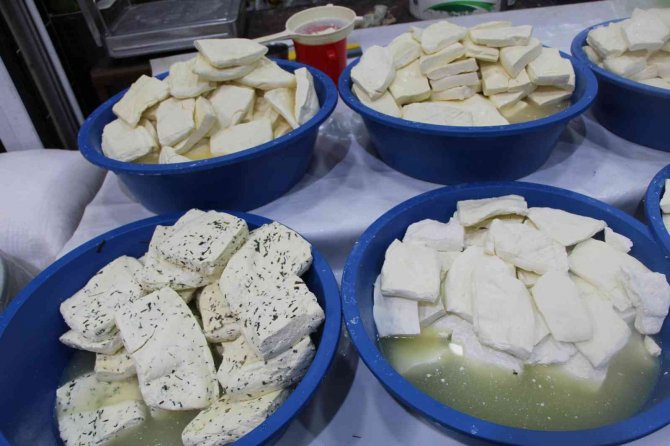 Uzman Doktor Hayvansal Ürünlerden Bulaşan Hastalığa Dikkat Çekti