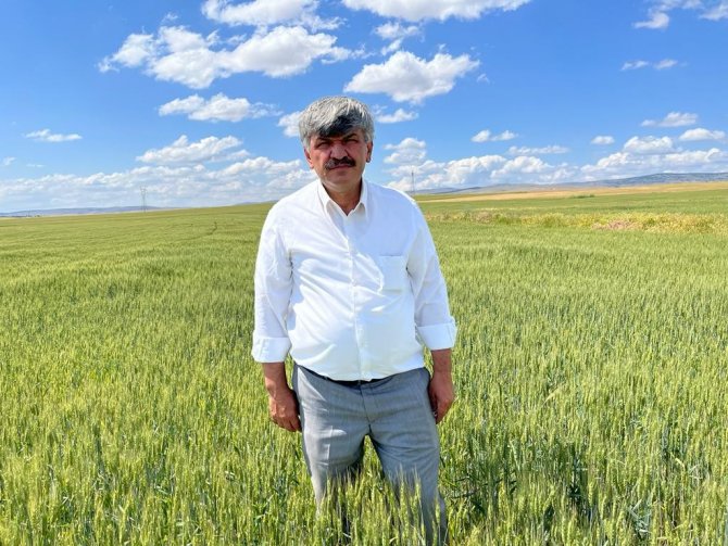 Açıklanan Hububat Fiyatları