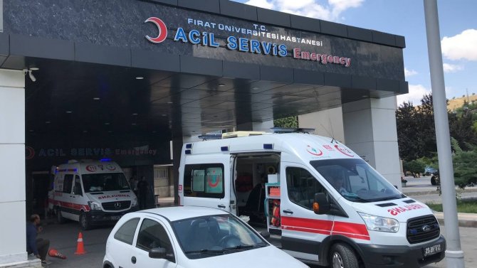 3 Yaşındaki Çocuğu Kene Isırdı, Ailesi Eliyle Çıkardı, Semptomlar 5 Gün Sonra Ortaya Çıktı