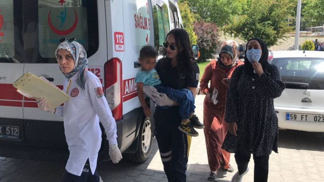 3 Yaşındaki Çocuğu Kene Isırdı, Ailesi Eliyle Çıkardı, Semptomlar 5 Gün Sonra Ortaya Çıktı