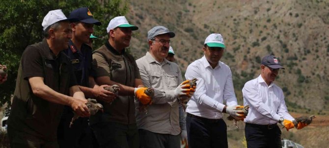 Kahramanmaraş’ta Yetiştirilen Kekliler Yurdun Dört Bir Yanına Doğayla Buluşuyor