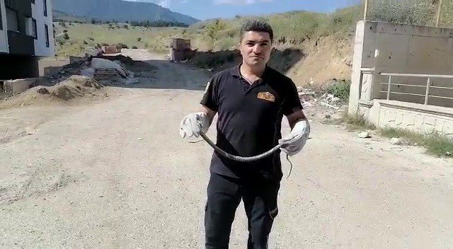 Bahçedeki Mazgala Giren Yılanı İtfaiye Ekipleri Yakaladı