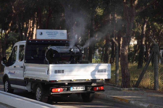 Kartal’da Vektörle Mücadele Ve İlaçlama Hizmetleri Devam Ediyor