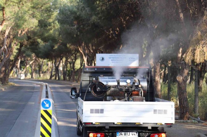 Kartal’da Vektörle Mücadele Ve İlaçlama Hizmetleri Devam Ediyor