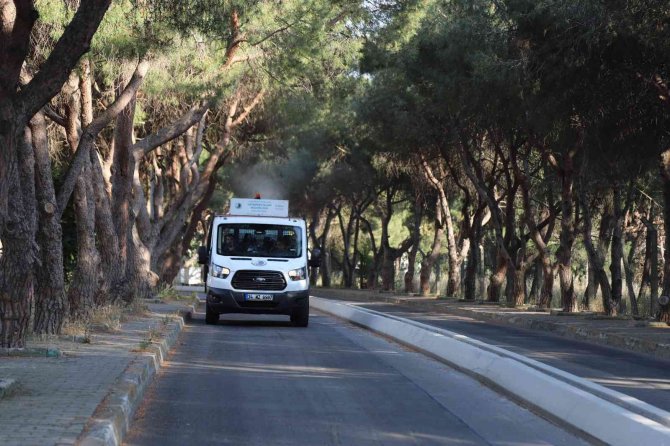 Kartal’da Vektörle Mücadele Ve İlaçlama Hizmetleri Devam Ediyor