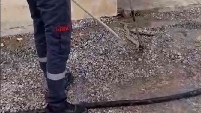 Kırıkkale’de 2 Metrelik Yılan Paniği