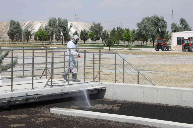 Konya Büyükşehir 31 İlçede 40 Ekiple Haşereyle Mücadele Yürütüyor