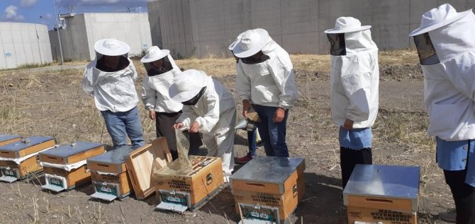 Büyükşehirin Bu Projesi Meslek Sahibi Yapıyor