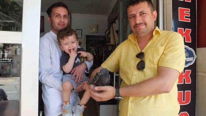 Hasta Güvercine Sahip Çıktı