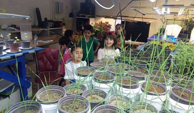 Minik Çocuklar Üniversitede Deneyim Kazandı