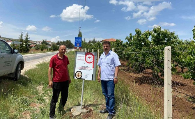 Mihalıççık İlçesi Akdeniz Meyve Sineğinden Ari Alan Tesis Edildi