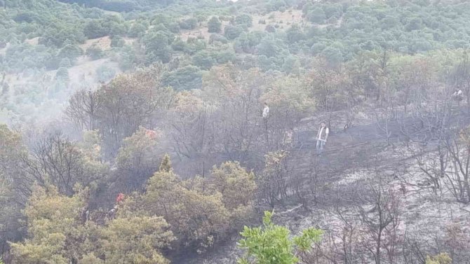 Pazaryeri İlçesinde Orman Yangını