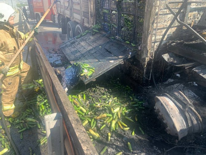 Pendik’te Meyve Sebze Yüklü Kamyon Alev Alev Yandı