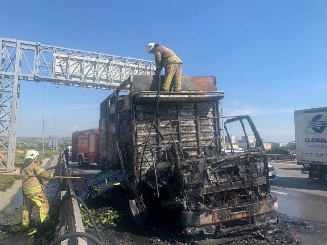 Pendik’te Meyve Sebze Yüklü Kamyon Alev Alev Yandı