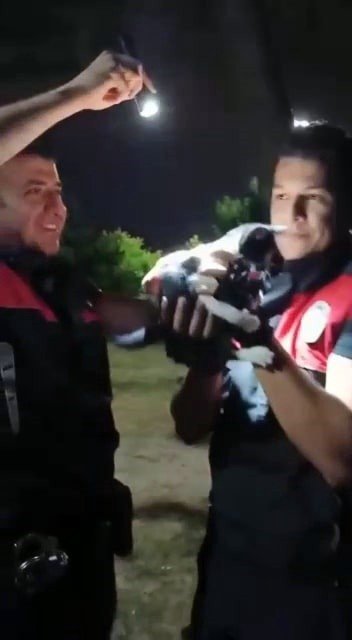 Çıktığı Ağaçtan İnemeyen Yavru Kedi İçin Seferber Oldular