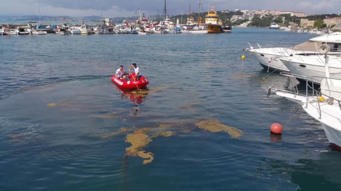 Sinop’ta Deniz Yüzeyinde Oluşan Kirlilik Temizleniyor