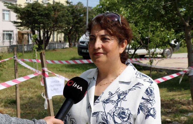 Pazardan Toplanan Organik Atıklar, Toprağı Yeşertecek