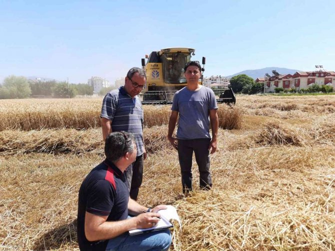 Muğla’da Biçerdöverler Denetleniyor