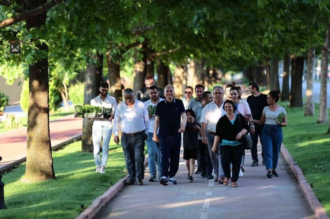 Denizli’de 40 Bin Fesleğen Dağıtıldı