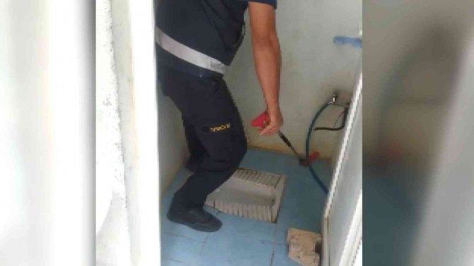 Duvardaki Su Borusu Deliğinde Yılan Yakalandı