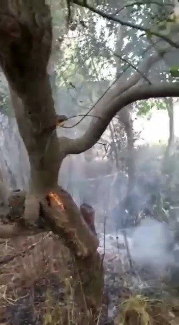 Adıyaman’da Bahçe Yangını Korkuttu