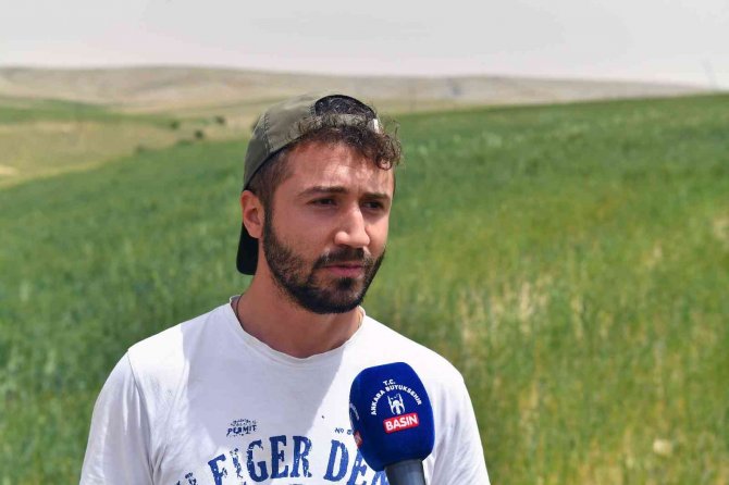 Başkentin Toprakları Sıvı Organik Gübrelerle Daha Verimli