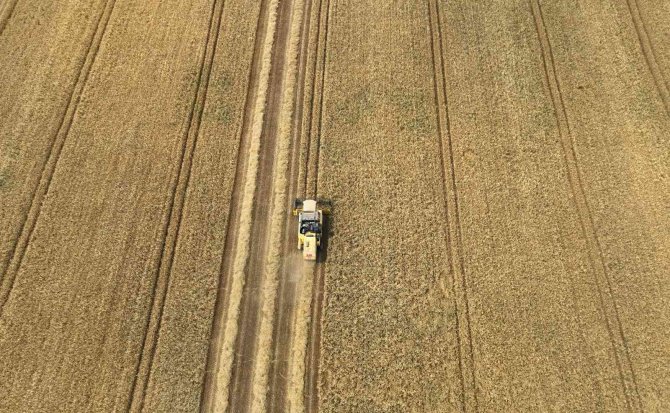 Vali Kolları Sıvadı, Tarlaya Girip Biçerdöverle Buğday Hasadı Yaptı