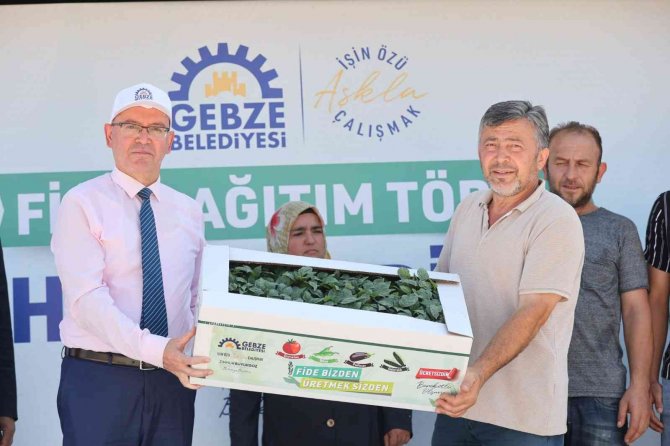 Gebzeli Çiftçilere Fide Desteği