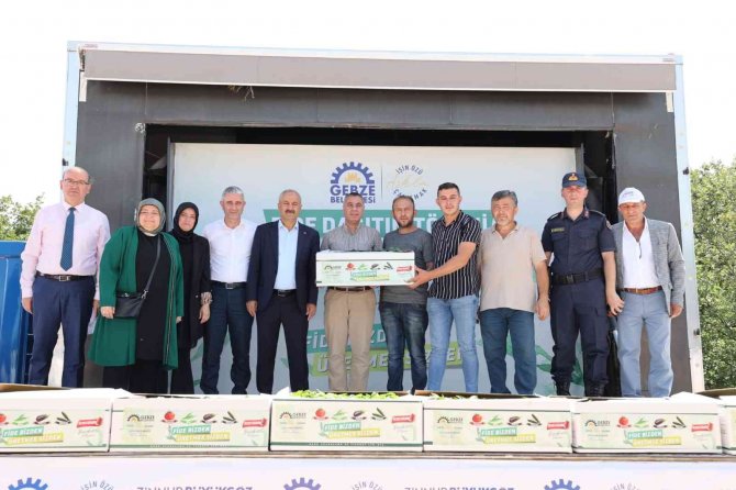 Gebzeli Çiftçilere Fide Desteği