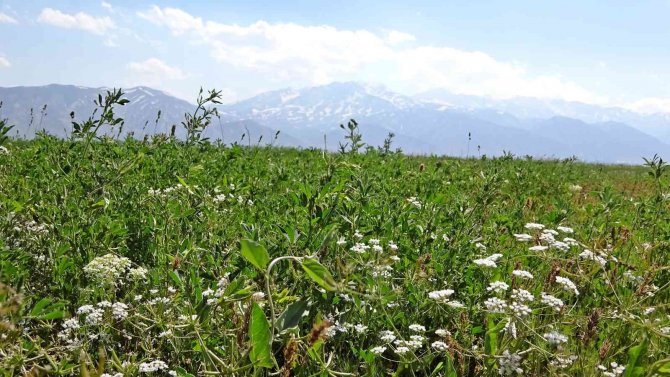 Yüksekova’da İki Mevsim Bir Arada