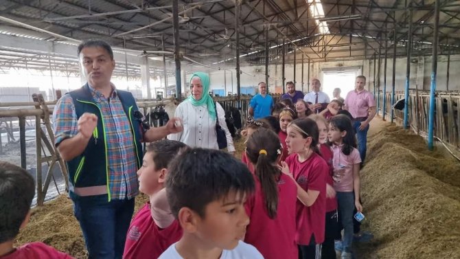 Öğrenciler Süt Üretimini Yerinde İncelediler