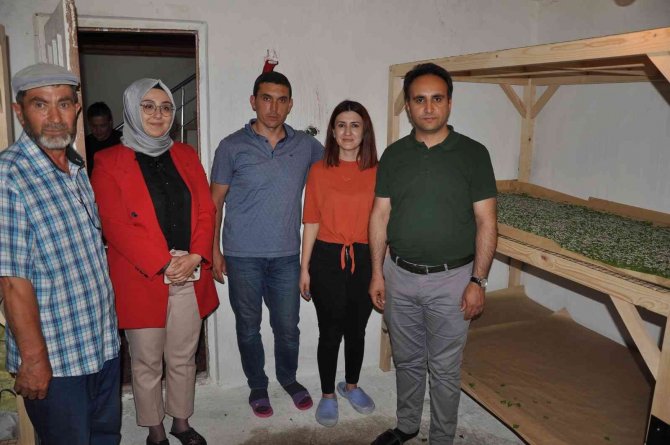 Kadın Girişimci, İpek Böcekçiliği İşine Öncülük Etti