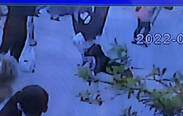 Fatih’te Köpeğe Eziyet Eden Kişiye Linç Girişimi