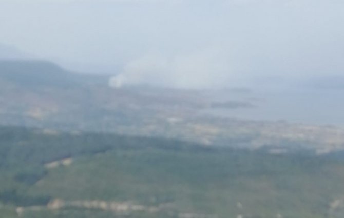 İ̇zmir’de Yerleşim Yerlerine Yakın Ağaçlık Alanda Yangın