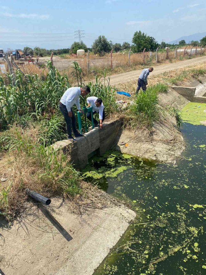 Turgutlu Ve Salihli’de Haşereyle Mücadele