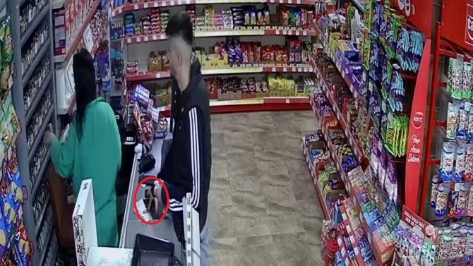 Samsun’da Marketten Telefon Hırsızlığı Kamerada