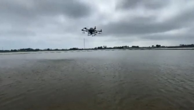 Bafra Ovası’nda Zi̇ha İle Çeltik Ekimi Başladı