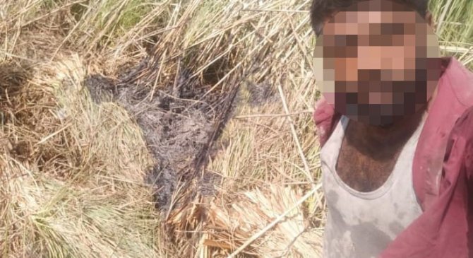 Dalyan’daki Sazlık Yangınıyla İle İlgili Üç Şüpheli Gözaltına Alındı