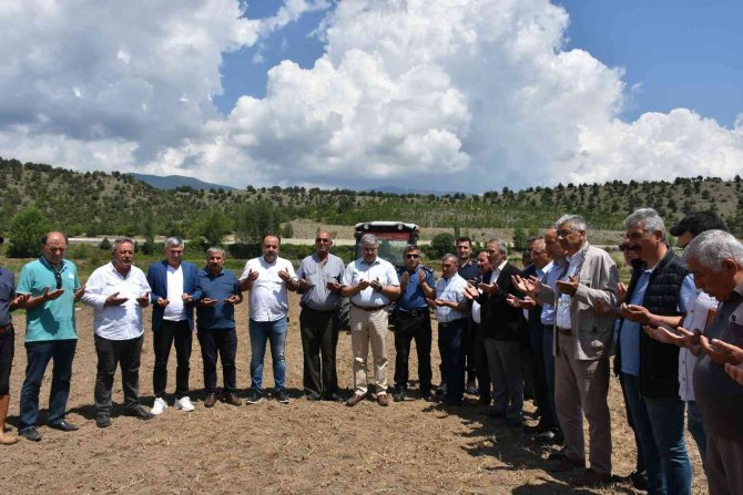 ’Tosya Pirinci’ Damlama Sulama Yöntemi İle Yetişecek