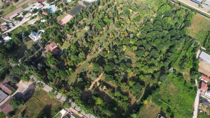 ’Toprak Dede’nin Mirası Ağaç Müzesi Ziyaretçilerini Büyülüyor