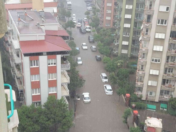 Vendik Değil, Aydın