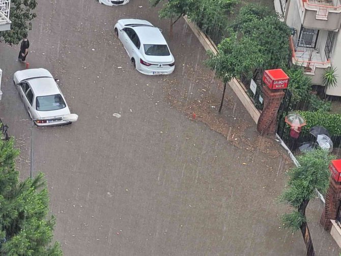 Vendik Değil, Aydın