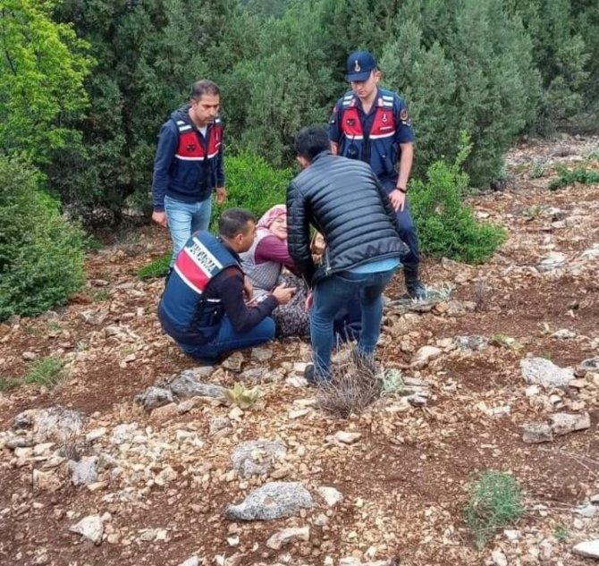 Bursa’da Ormanda Kaybolan Kadından 72 Saat Sonra Müthiş Haber