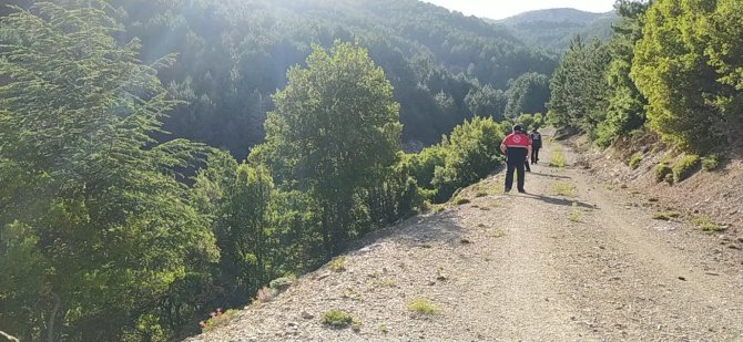 Sırra Kadem Basan Gençler Ormanlık Alanda Aranıyor