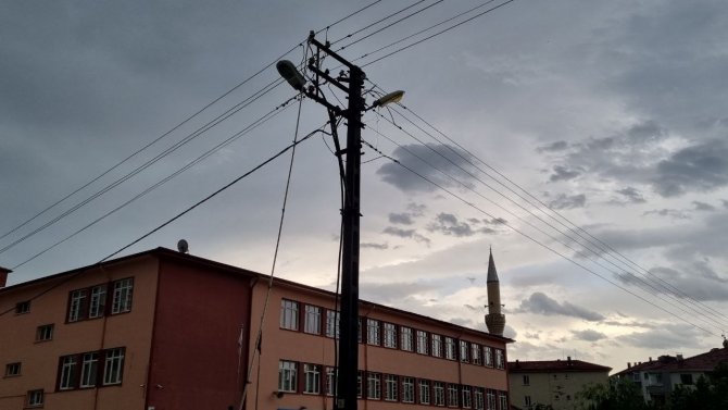 Şiddetli Rüzgar Ağaçları Devirdi, Elektrik Tellerini Kopardı