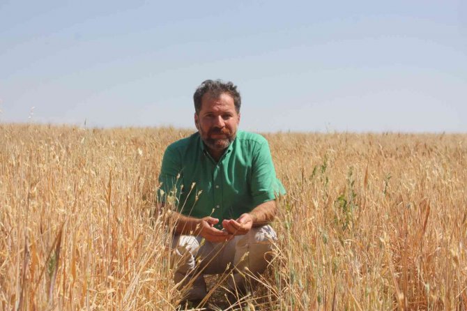 Yangınlar Çiftçinin Geleceğini, Ülkenin Ekonomisini Yok Ediyor